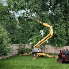 Best Lot and Land Clearing  in Homeland, CA