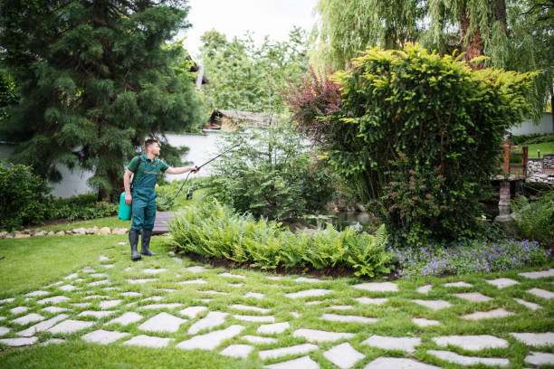 Best Tree Trimming and Pruning  in Homeland, CA