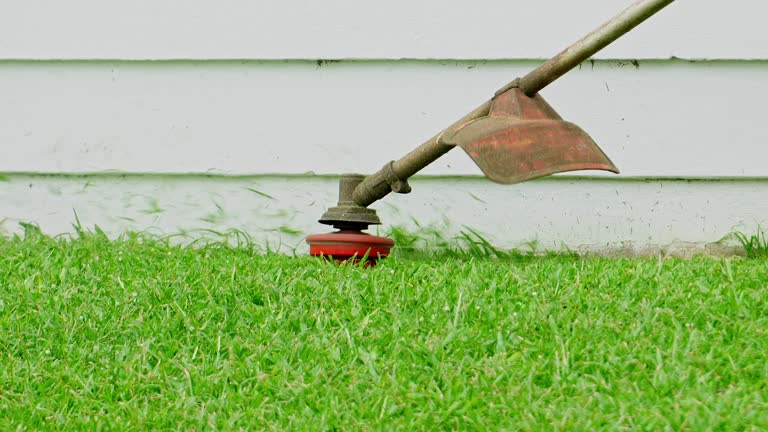 Best Lawn Mowing  in Homeland, CA
